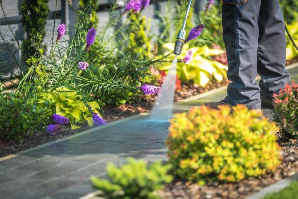 Best Gutter Cleaning  in Iola, WI